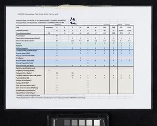 ‘COV002 Immunology Plan Group 1 and 2 prime only' chart