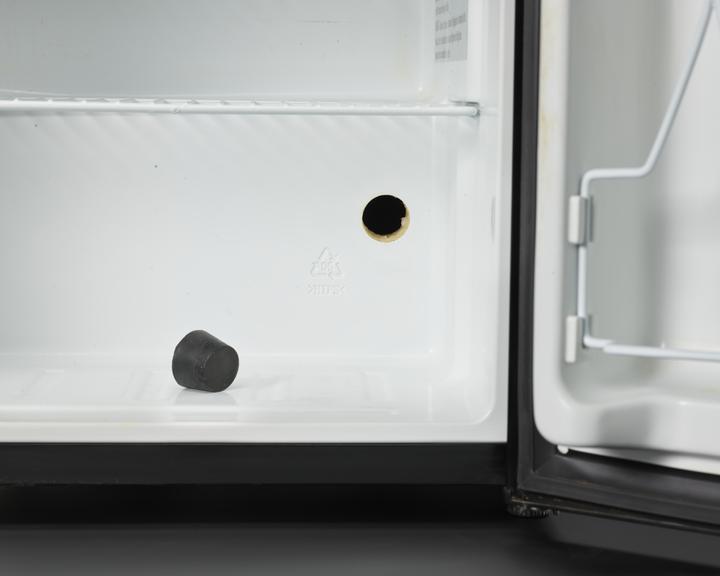 Fridge used in Conjunction with Mechanical Tree Prototype, 2017.