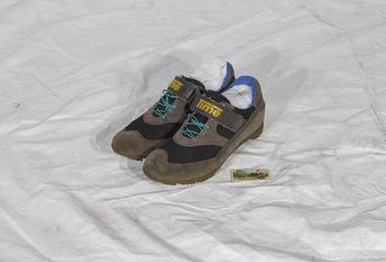 Pair of shoes for use on Windcheetah tricycle