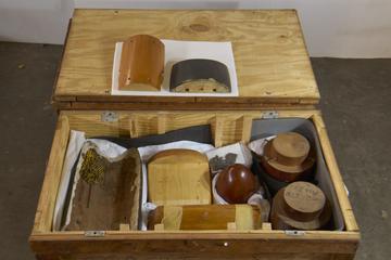 Aircraft wind tunnel model