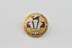 Brass Badge for the Prince of Wales General Hospital