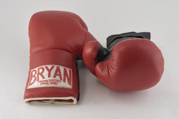 Boxer's Training Gloves.