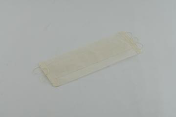 Disposable 2-ply Ward Mask