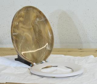 Toilet Seat and Cover