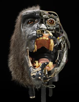 Animatronic Gorilla Head from the film 'Buddy'