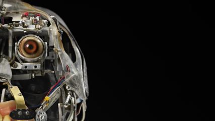 Animatronic Gorilla Head from the film 'Buddy'