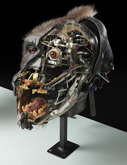 Animatronic Gorilla Head from the film 'Buddy'