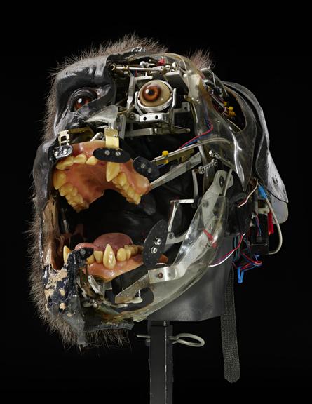Animatronic Gorilla Head from the film 'Buddy'