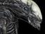 Replica of "Alien"