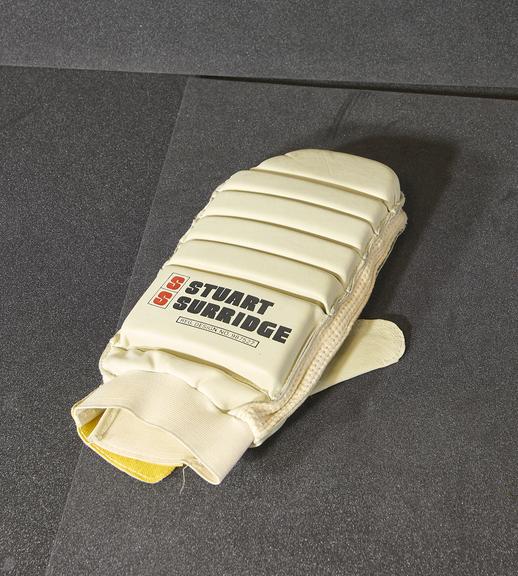 Left-hand cricket batting glove