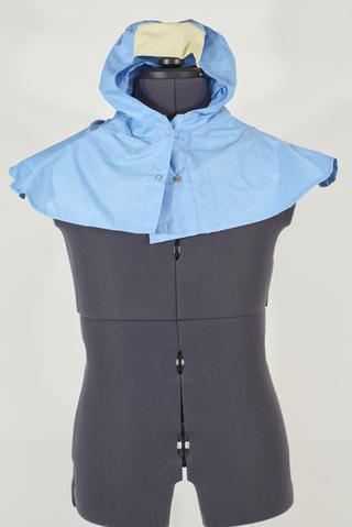 Pharmaceutical Worker's Suit Hood