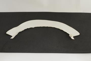 Plain stiffened white linen collar with rounded corners and detachable pearl button