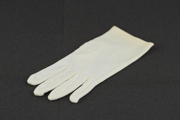 Clean room nylon glove