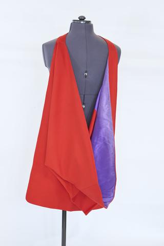 Sir James Williams M.D. hood