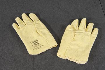 Pair of gloves