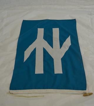 Flag, BR, Double Arrow insignia appliqued in white on turquoise background