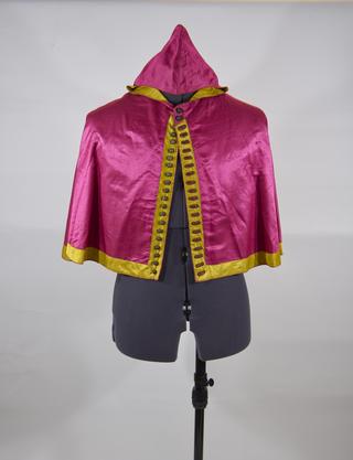 Hood for academic robes of a doctor of medicine and pharmacy [replica]