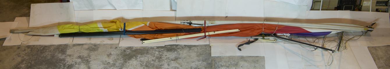 Wasp Falcon 4 Hang Glider