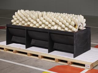 Model of Tobacco Mosaic Virus Structure