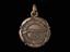 Bronze award medallion