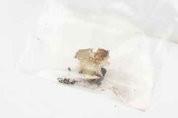 Fragment from right front panel from padded cell