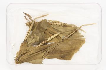 Fragments from wing of Frost's Experimental Ornithopter