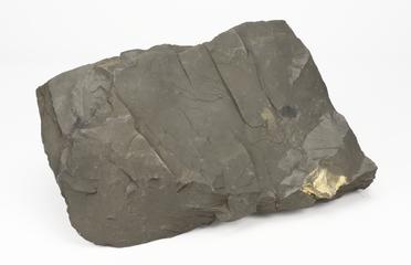 Plain Bituminous Shale.