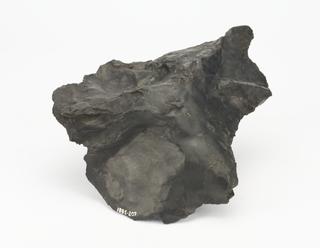 Small Sample of "Curly" Bituminous Shale