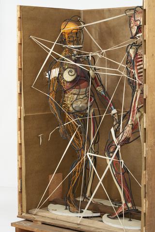Female animated figure model from Cleveland Health Museum, Ohio, United States, 1965