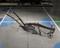 Wooden Somersetshire plough with iron share and coulter