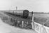 Three electric train units at Faversham, 1959.