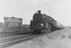 Steam locomotive on the Kent coast line, 1957