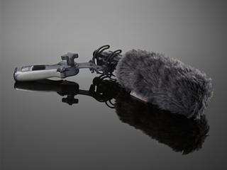 Recording equipment - Sennheiser ME66 & K6 microphone - used in bioacoustics bird diversity study