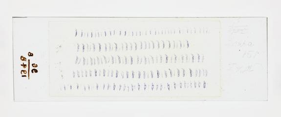 Microscope slide used in research relating to trench fever as transmitted by lice, made by F. Martin Duncan, 1918-19