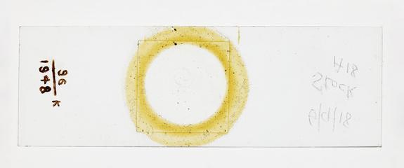 Microscope slide used in research relating to trench fever as transmitted by lice, made by F. Martin Duncan, 1918-19