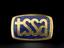 Pin badge, Associated Society of Locomotive Engineers and Firemen - Cricklewood
