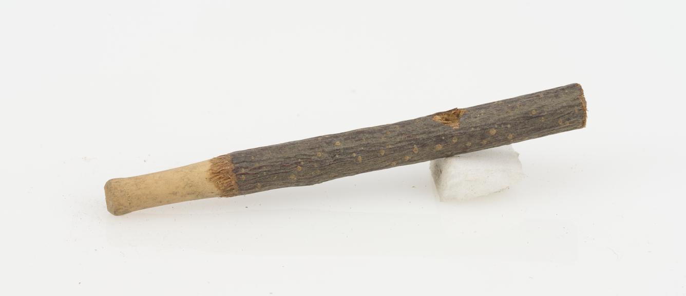 Twig Tobacco Pipe Mouthpiece