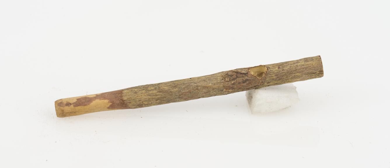 Twig Tobacco Pipe Mouthpiece