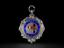 Union of Railway Signalmen medallion