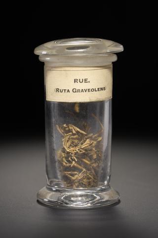 Dark green herb in the form of leaves