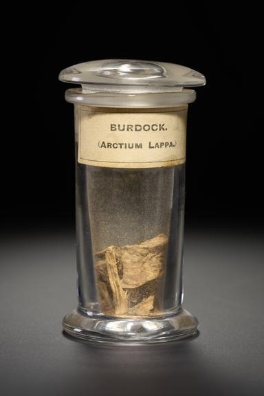 Brown herb in the form of dried and powedred root stem