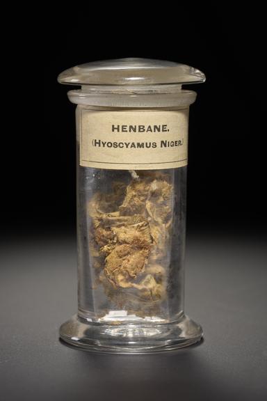 Green herb in the form of leaves and flowers