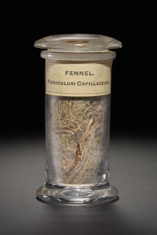 Green herb in the form of shoots