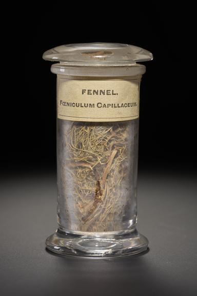 Green herb in the form of shoots