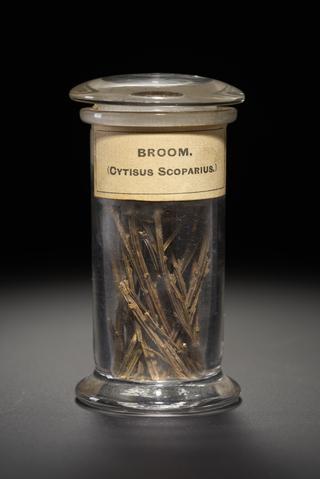 Dark brown herb in the form of dried shoots