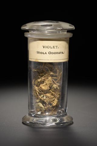 Black drug used for hiccups, hysteria and as sexual stimulant