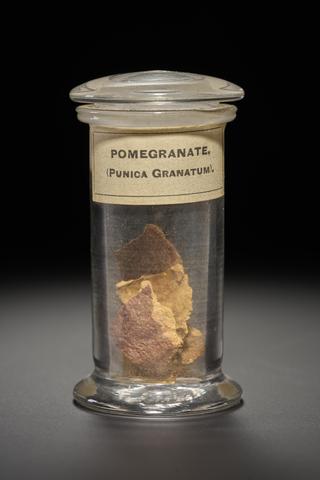 Yellow herb in the form of dried bark