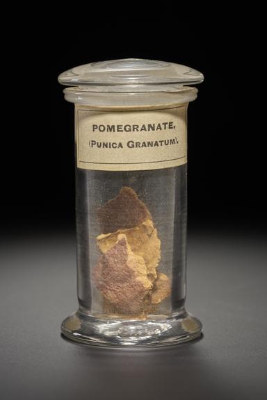 Yellow herb in the form of dried bark