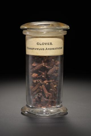 Brown herb in the form of dried flower buds