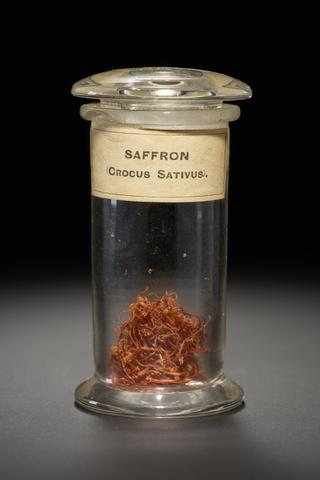 Orange herb used as food dye and flavouring